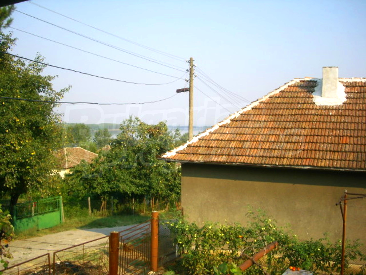 Gallery Picture 17