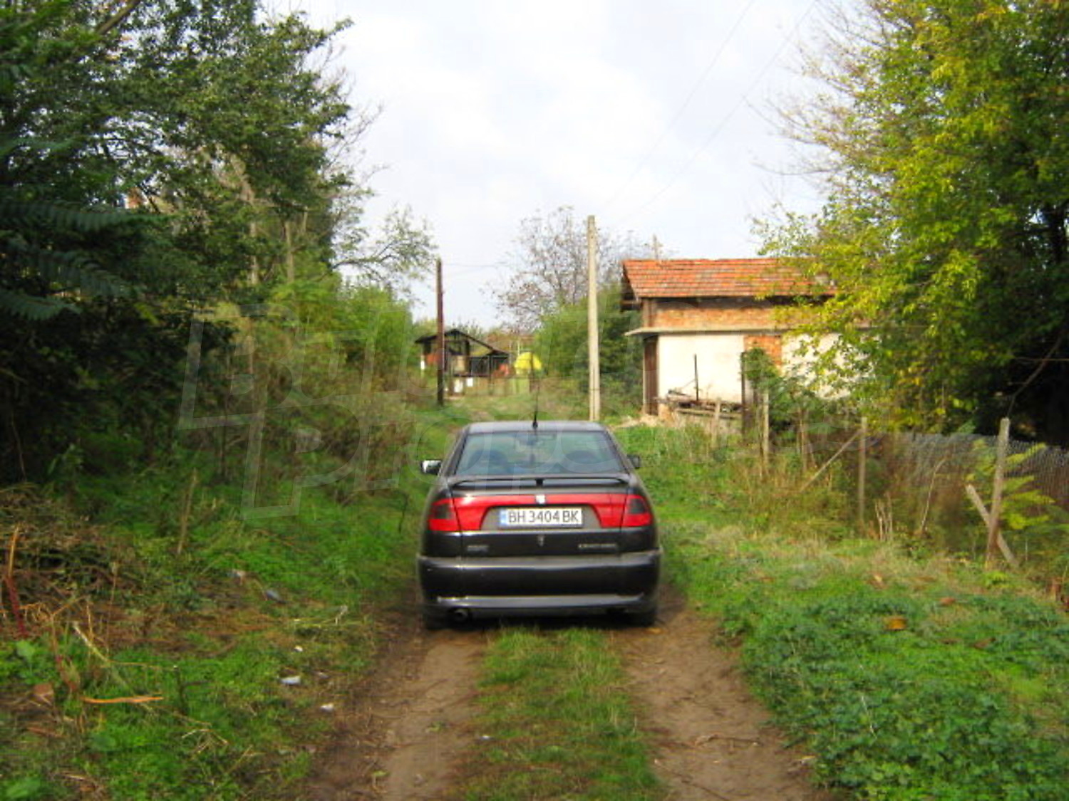 Gallery Picture 10