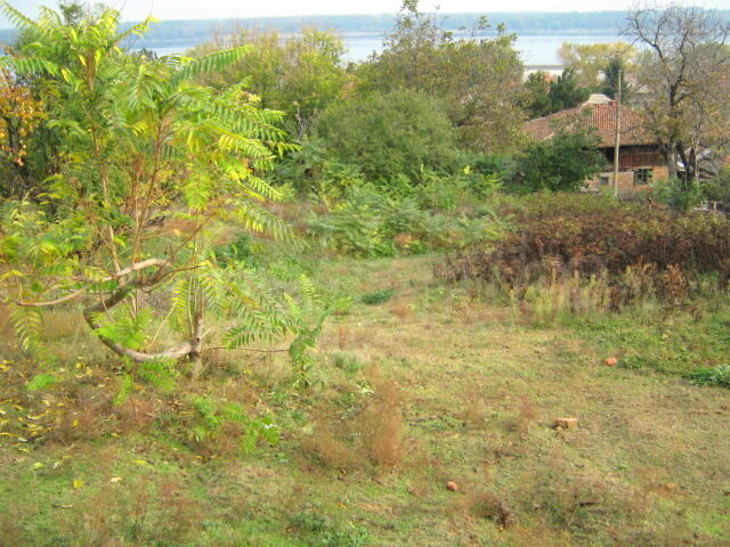 Gallery Picture 8
