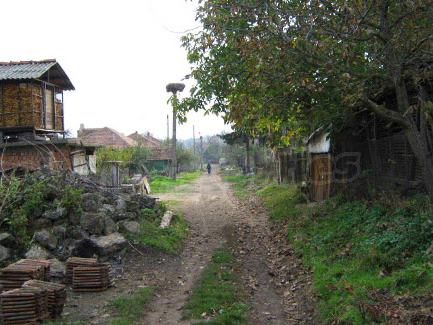 Gallery Picture 9