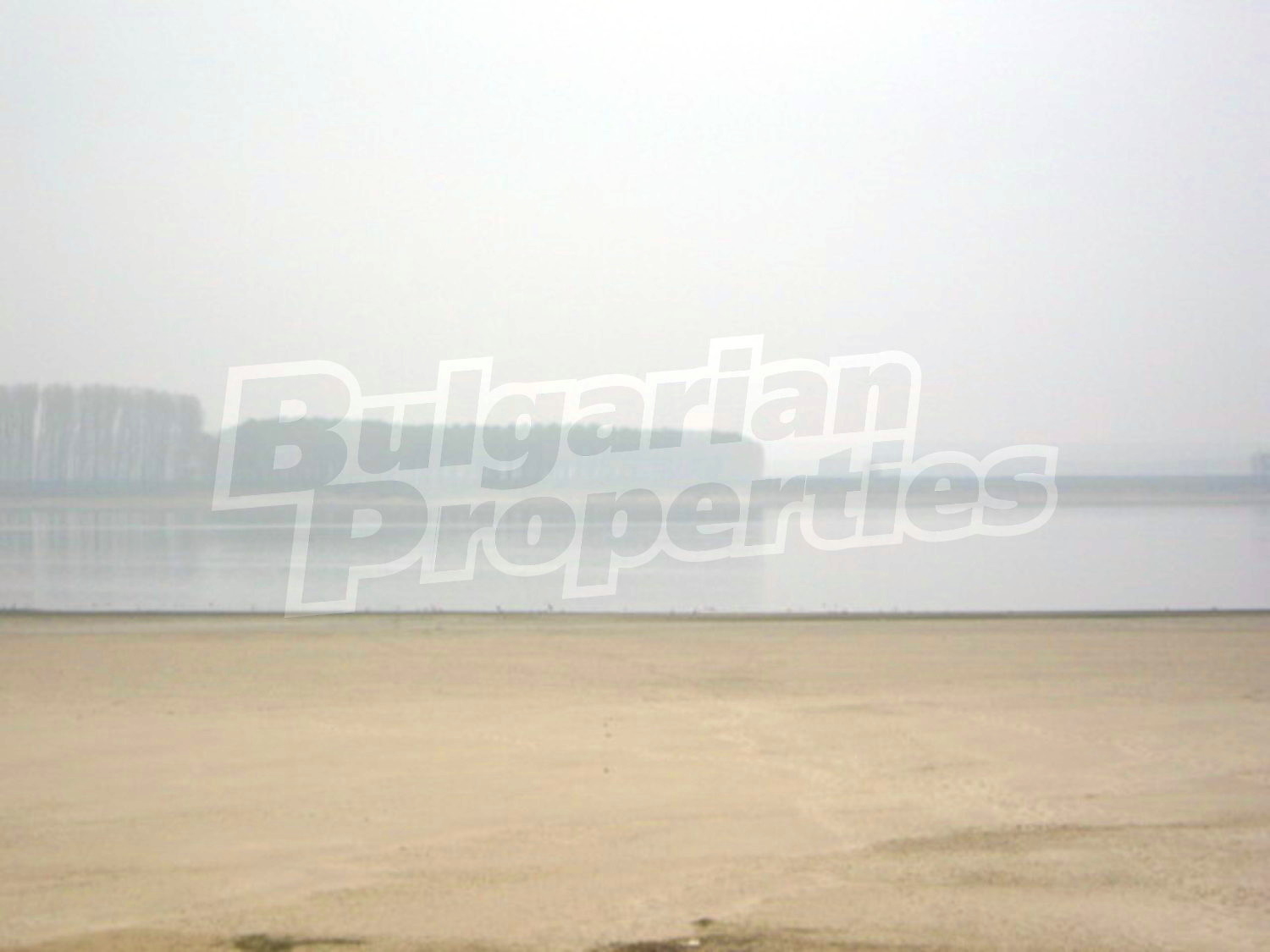Gallery Picture 10