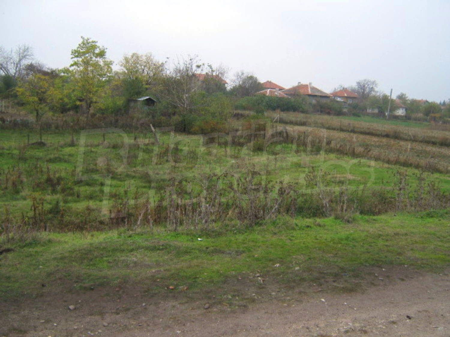 Gallery Picture 6