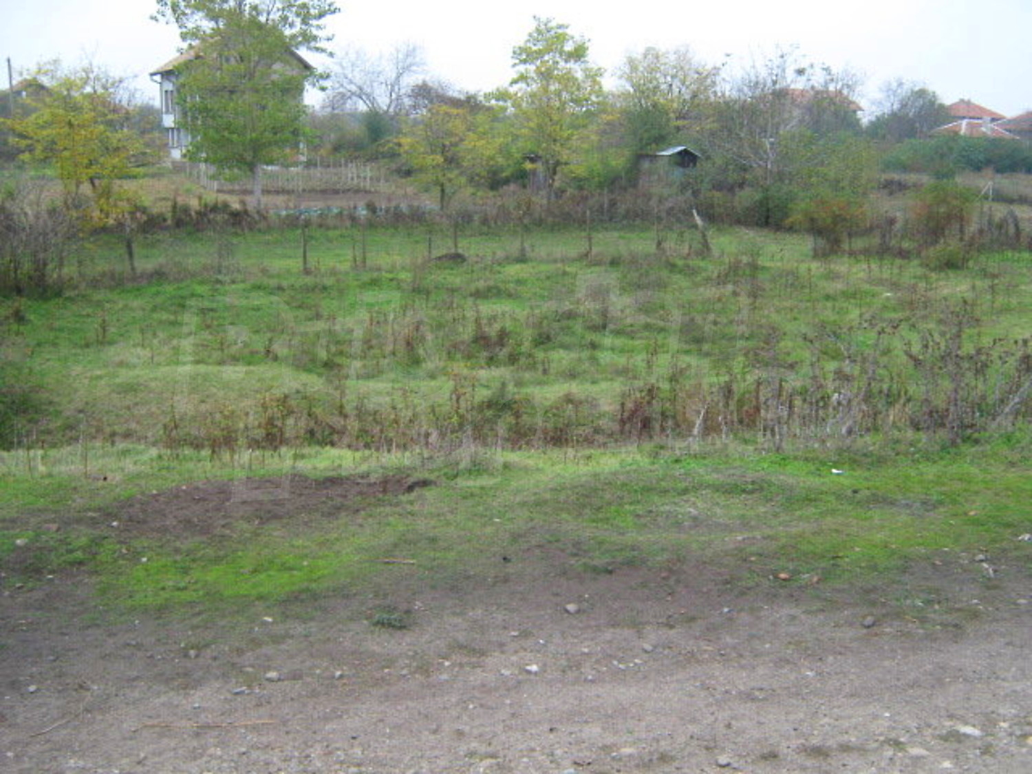 Gallery Picture 7