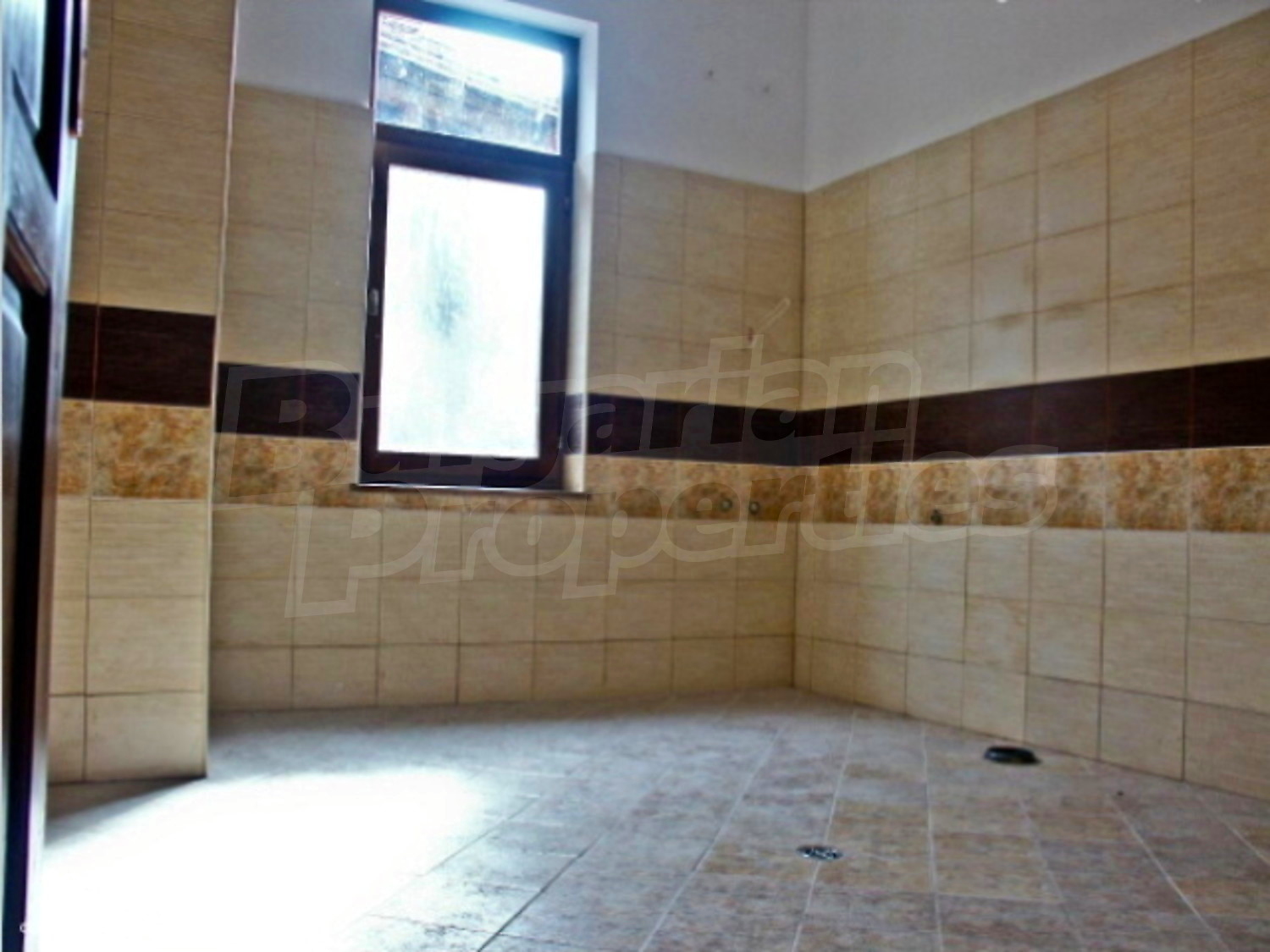 Gallery Picture 11