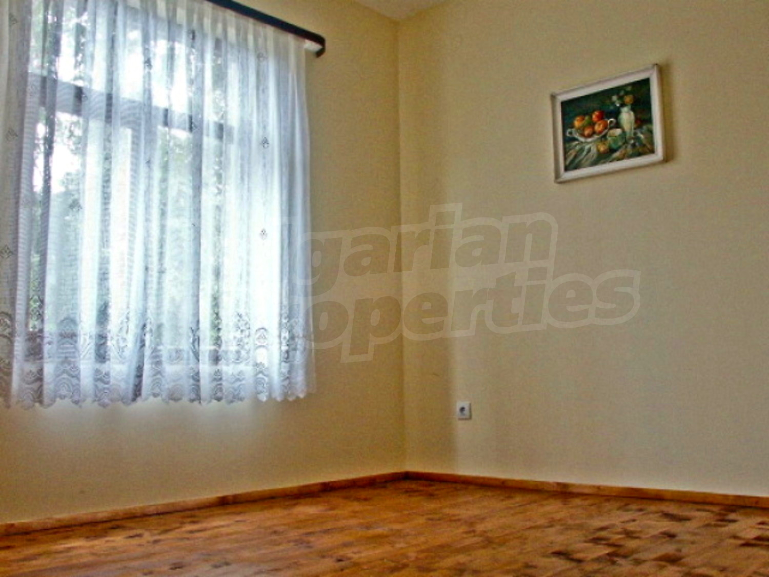 Gallery Picture 12