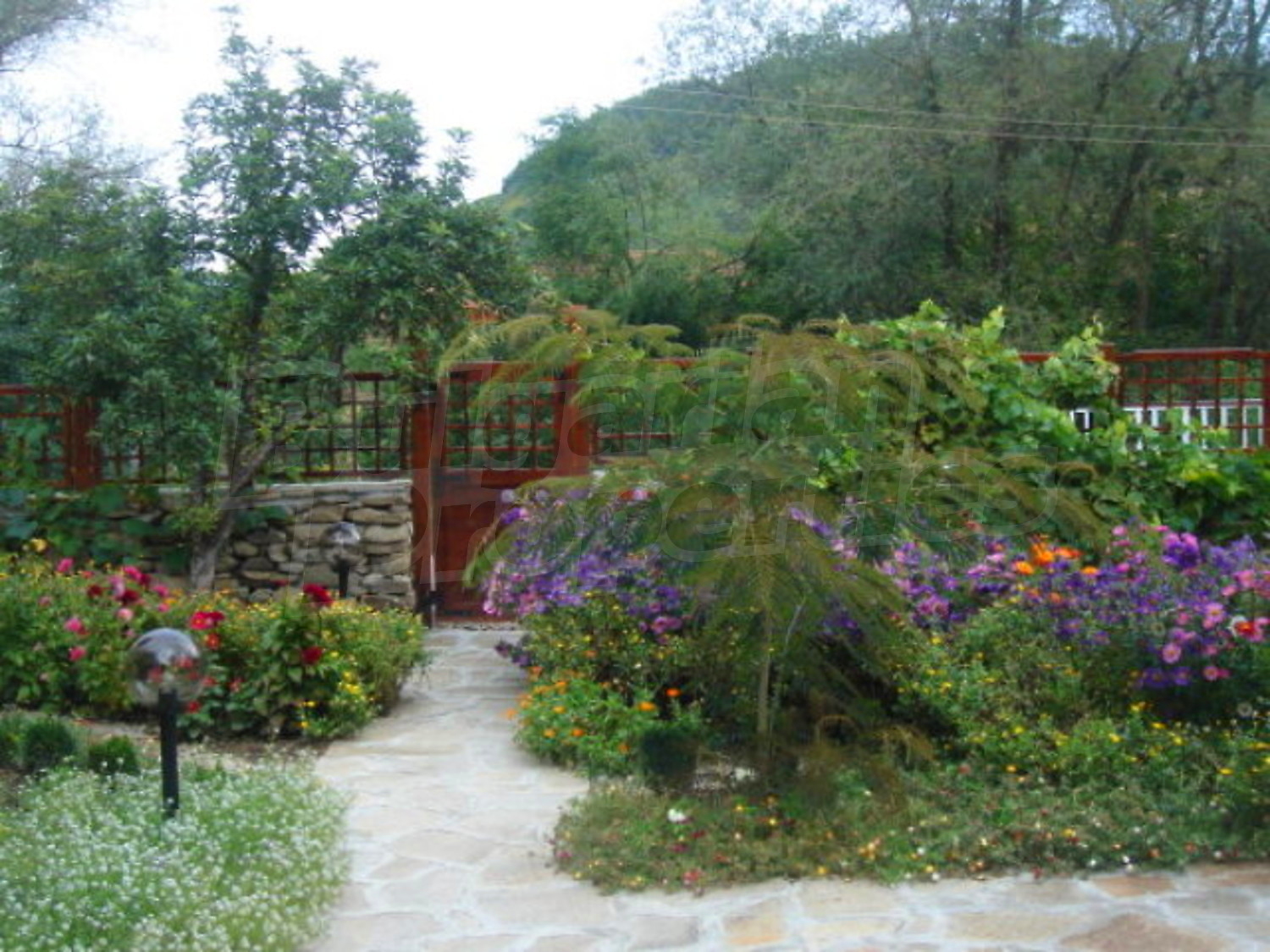 Gallery Picture 21