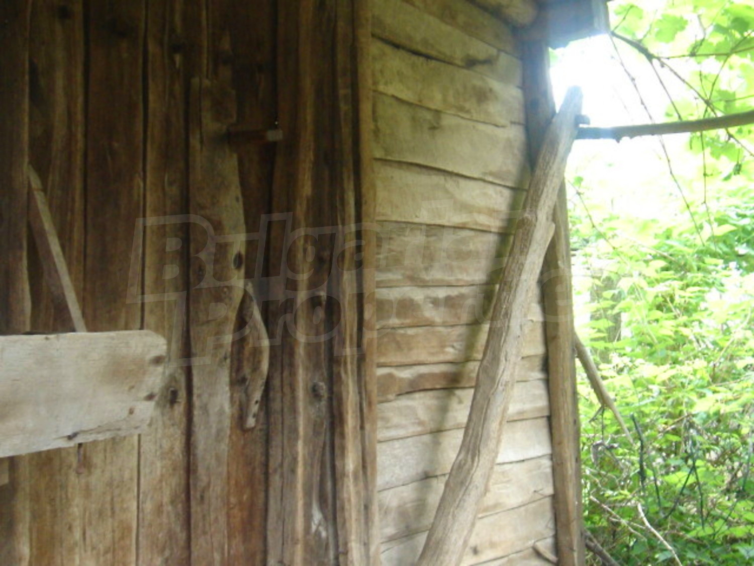 Gallery Picture 8