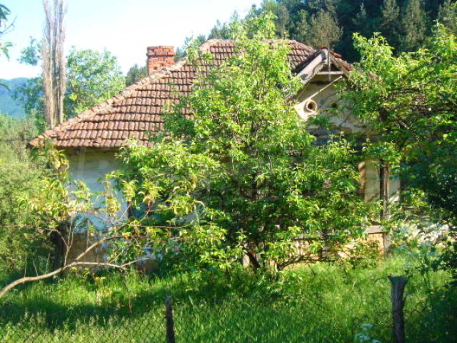 Gallery Picture 7