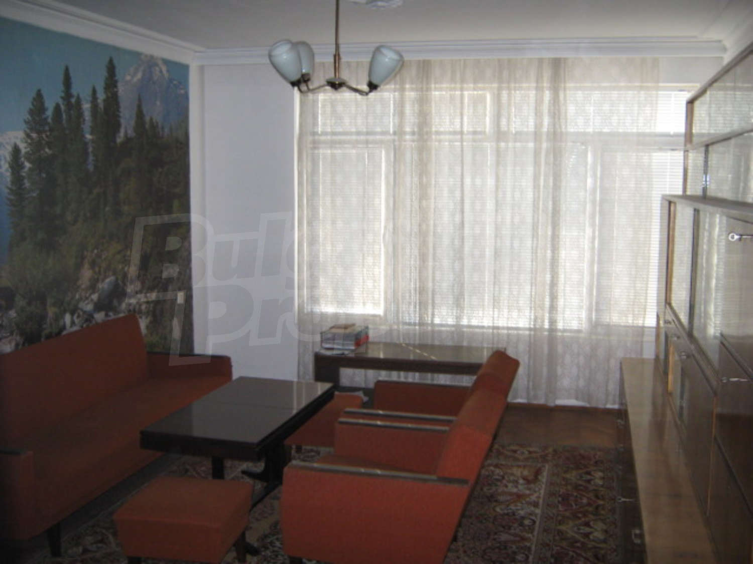 Gallery Picture 6