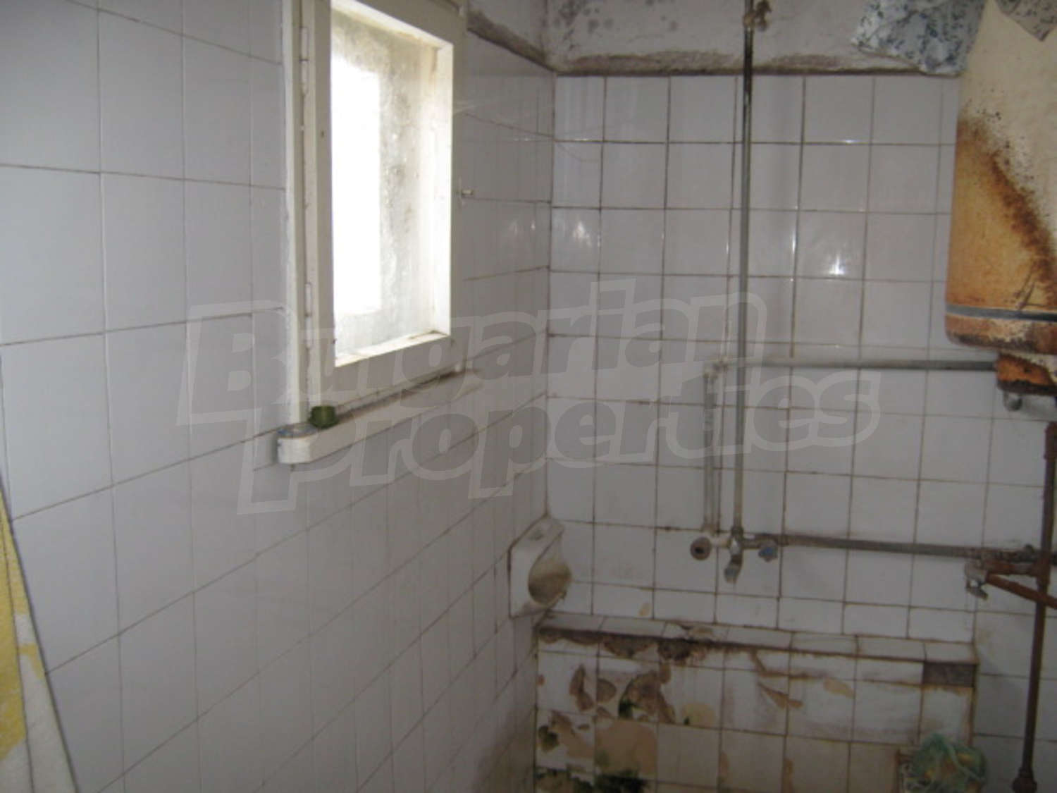 Gallery Picture 10