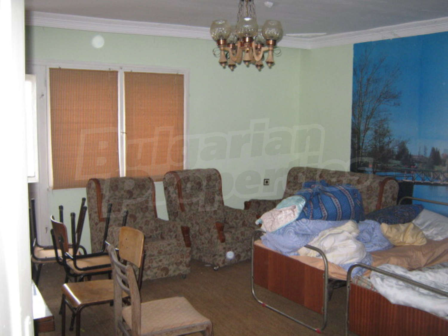 Gallery Picture 7