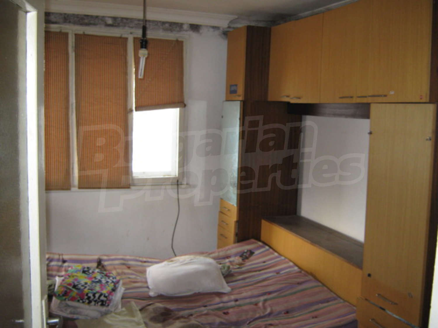 Gallery Picture 8