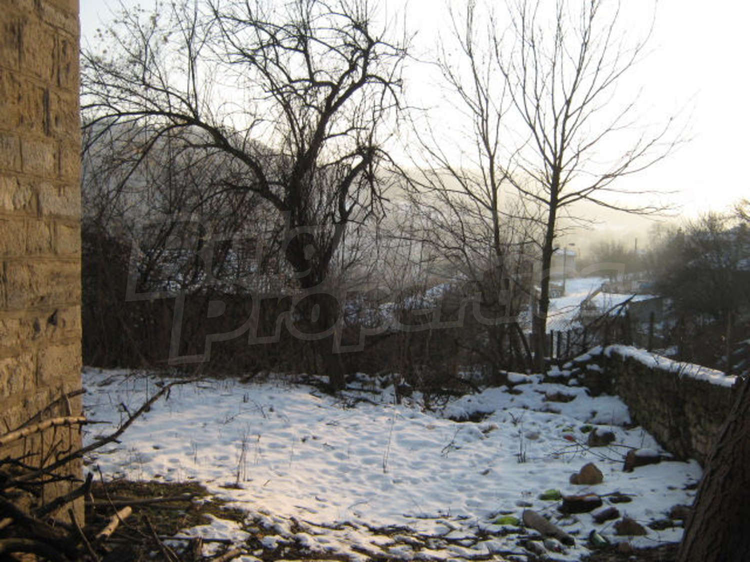 Gallery Picture 13