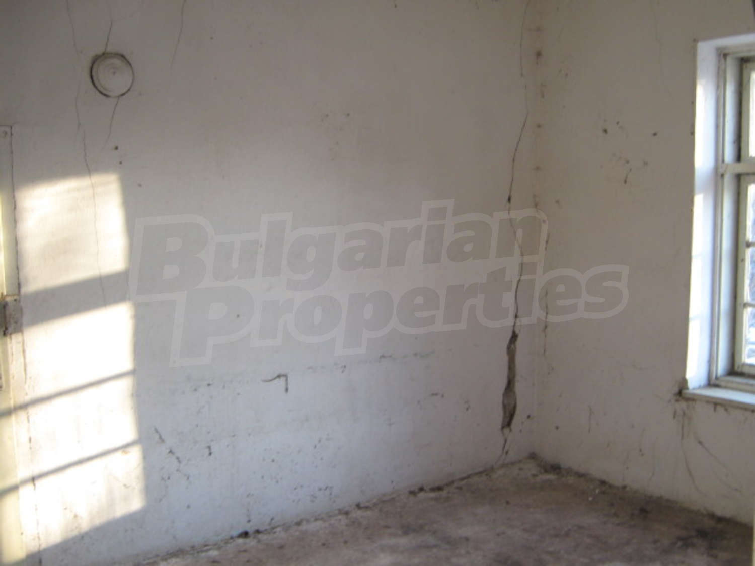 Gallery Picture 4
