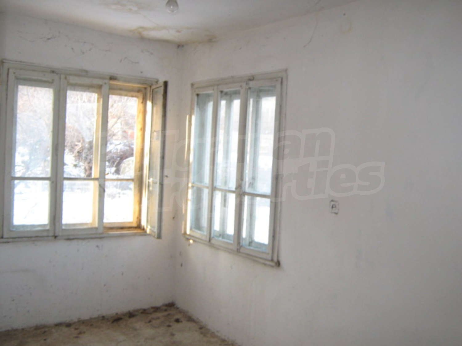 Gallery Picture 6