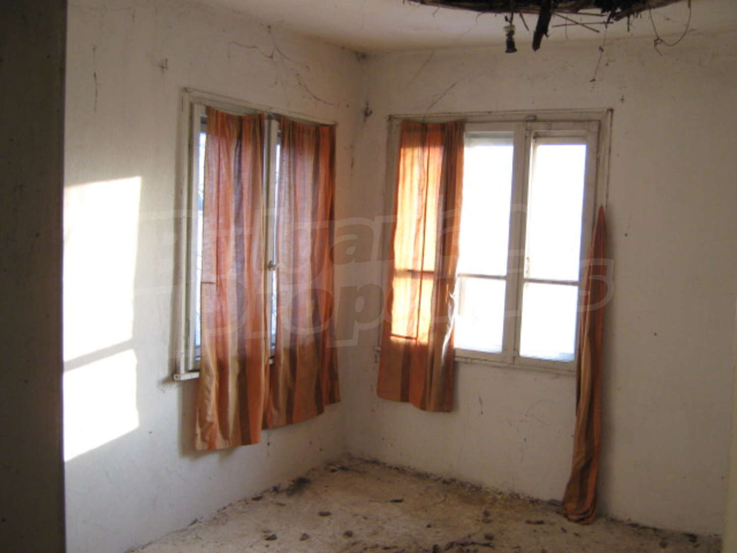Gallery Picture 9