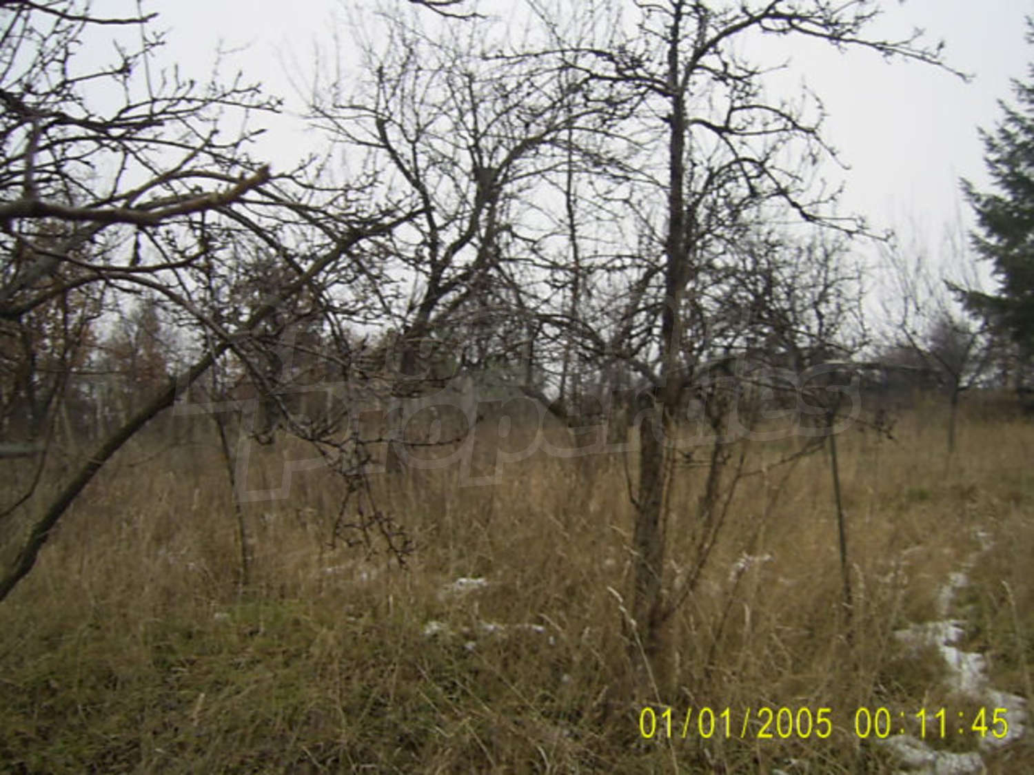 Gallery Picture 5