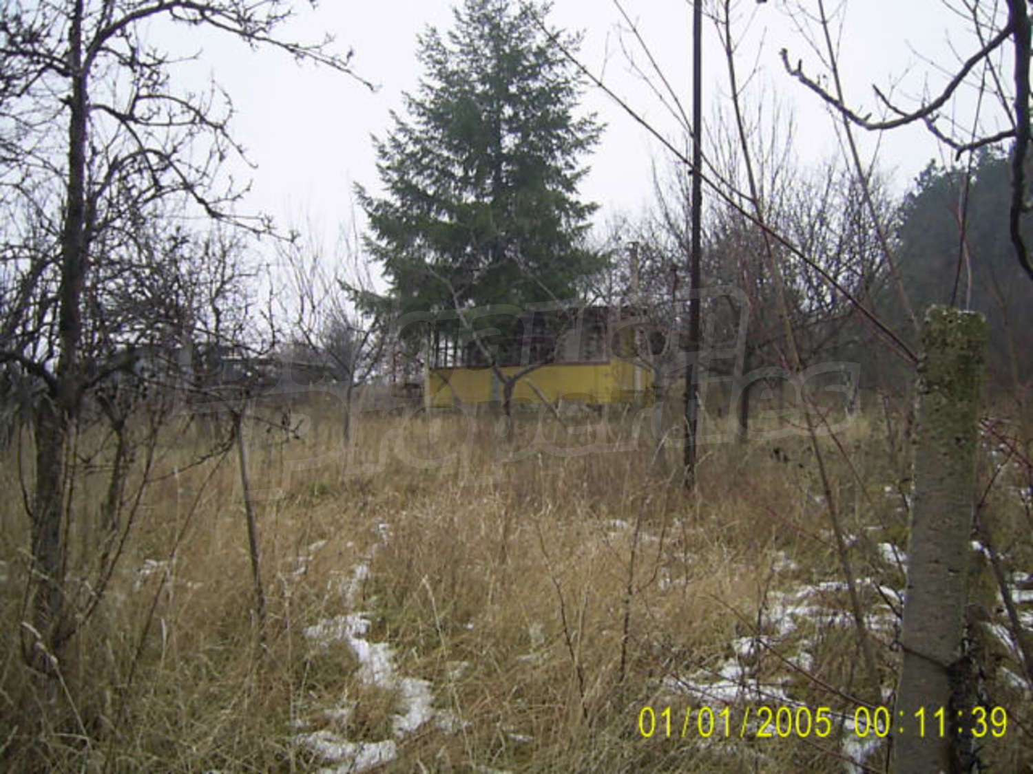 Gallery Picture 6