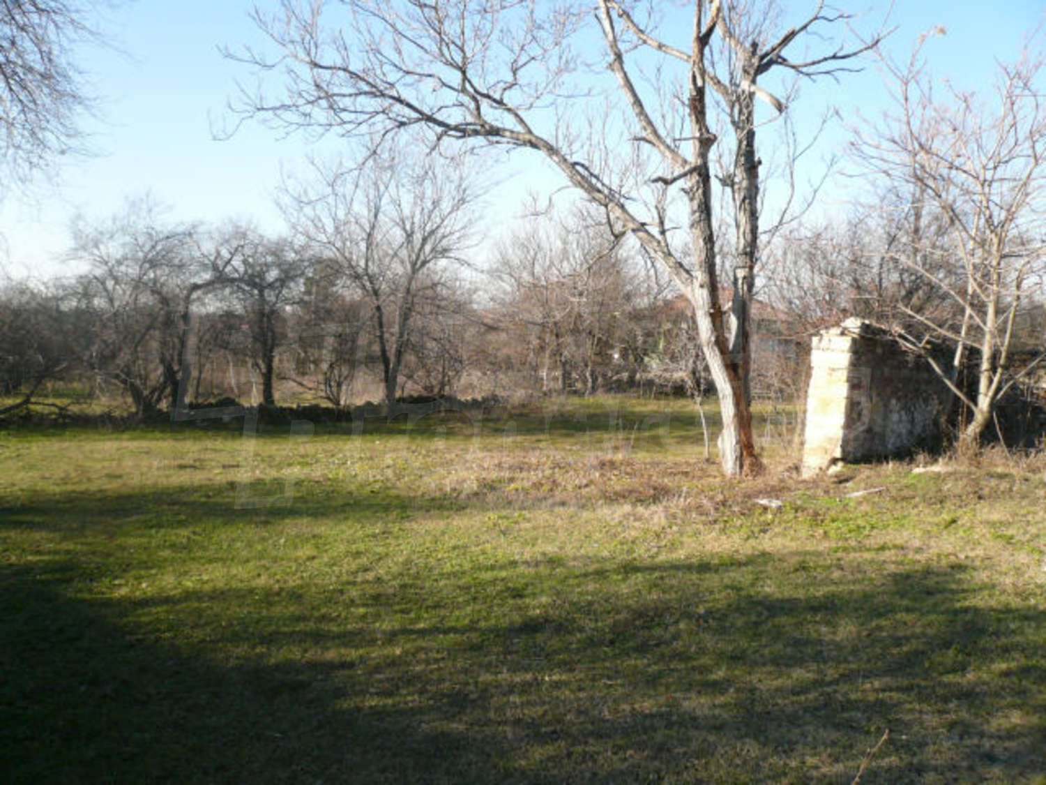 Gallery Picture 10