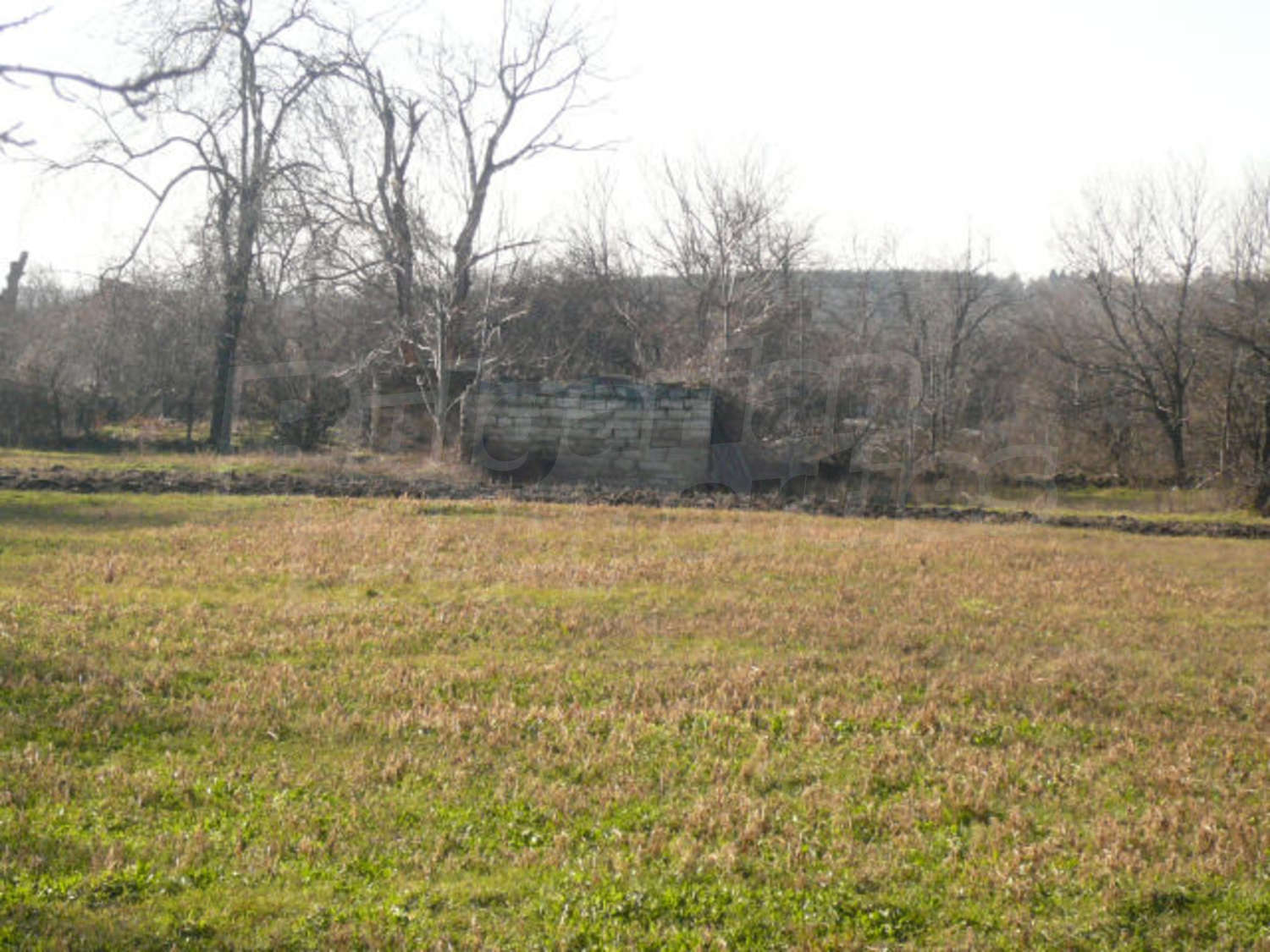Gallery Picture 6