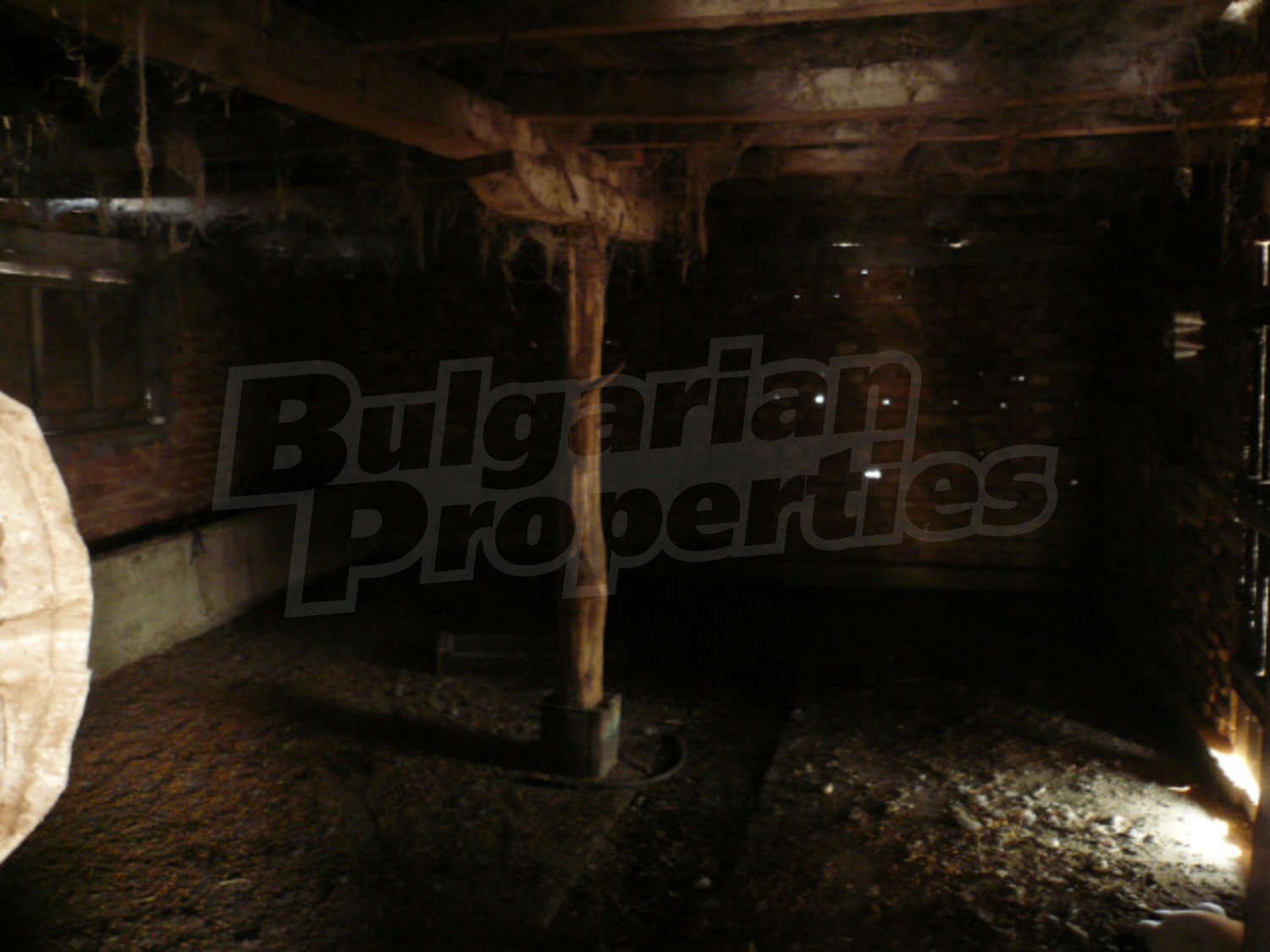 Gallery Picture 5