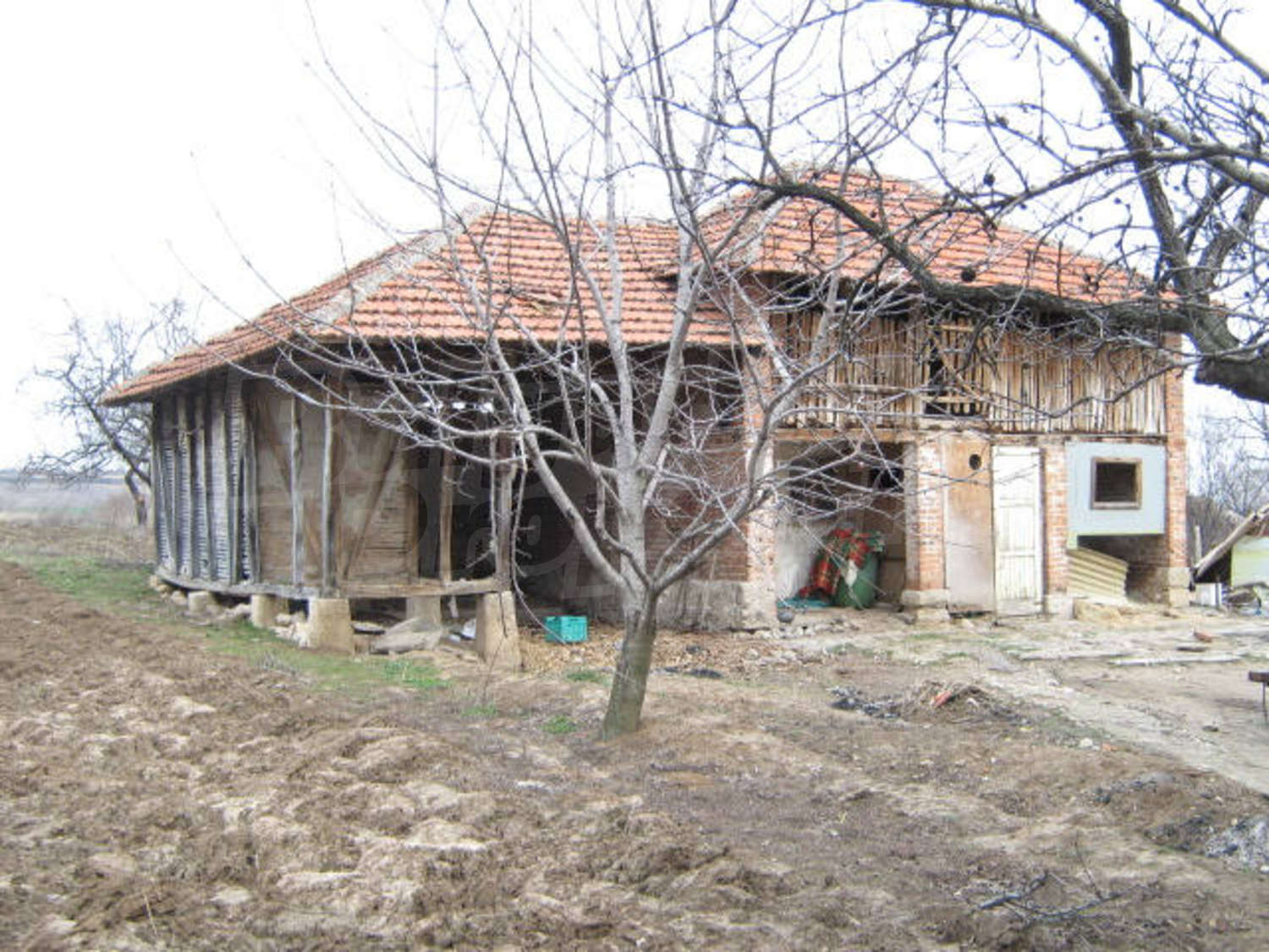 Gallery Picture 10