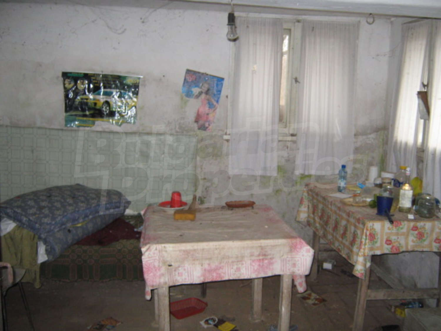 Gallery Picture 11