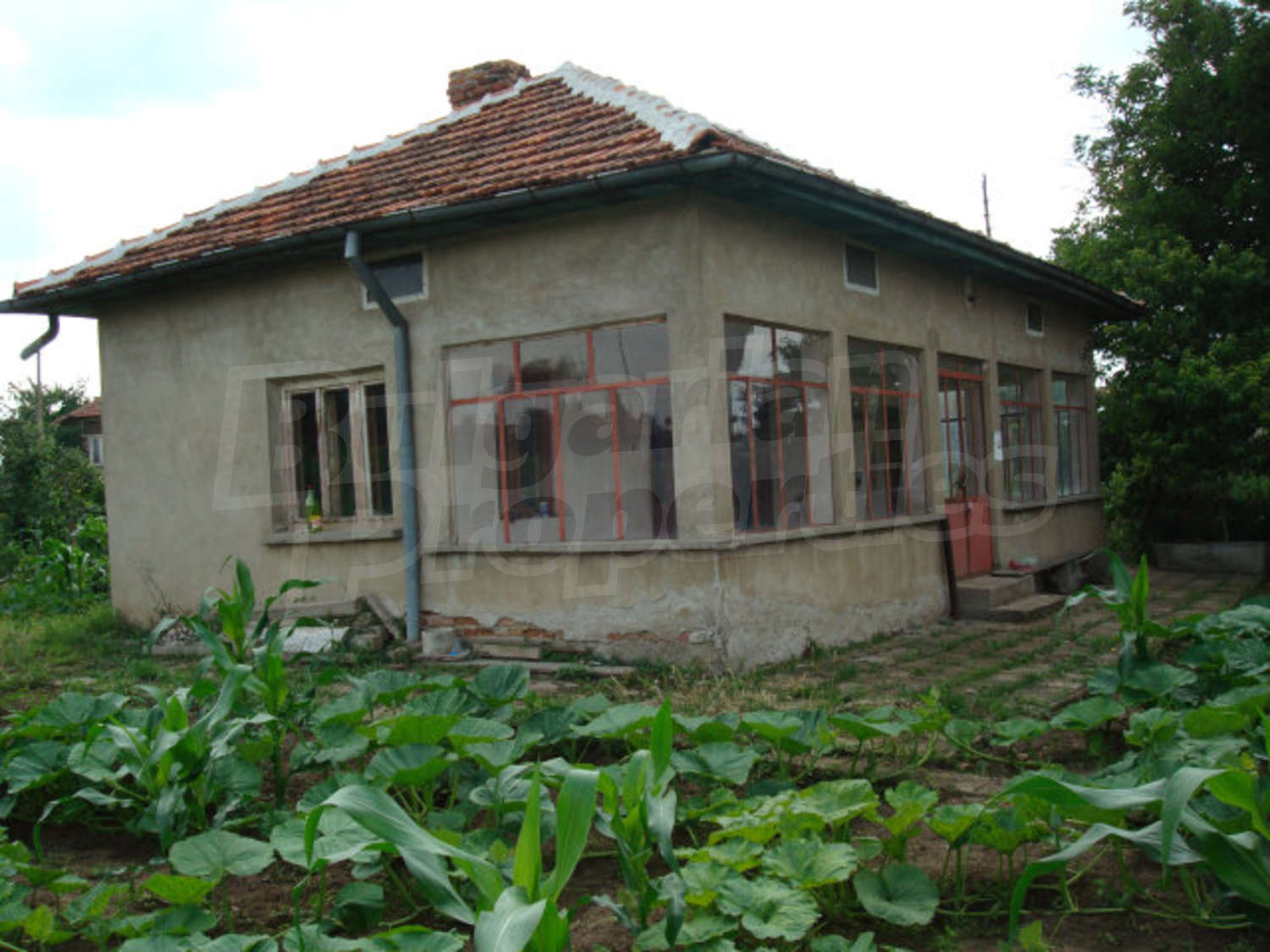 Gallery Picture 2