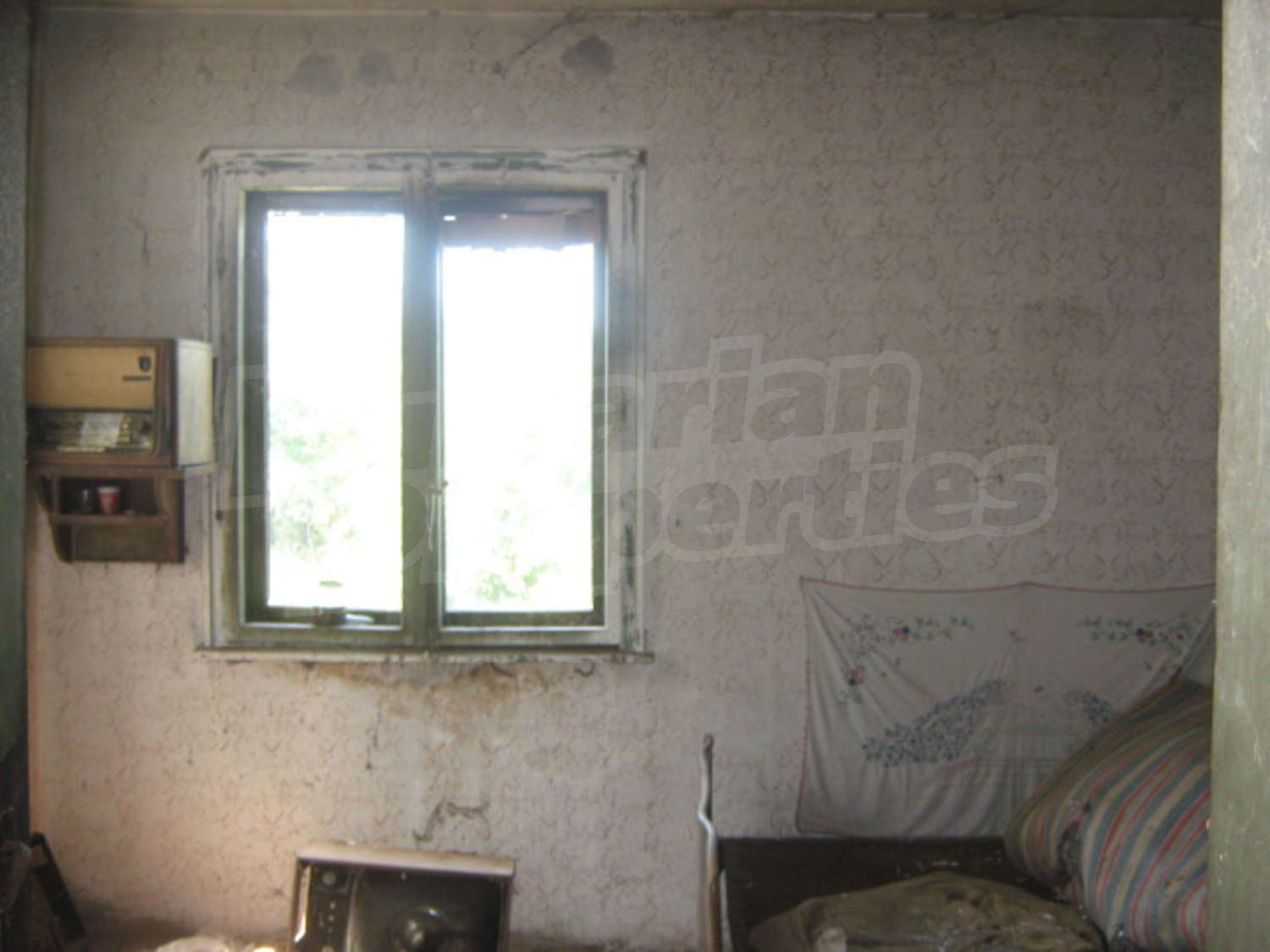 Gallery Picture 5