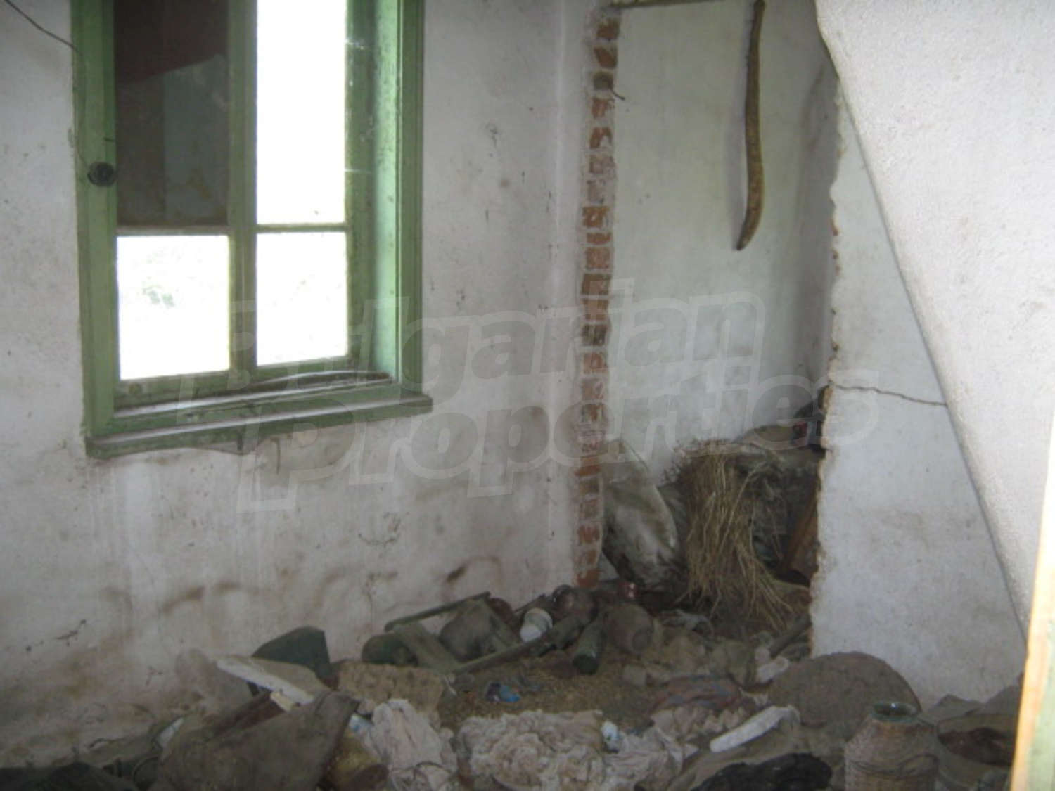 Gallery Picture 7
