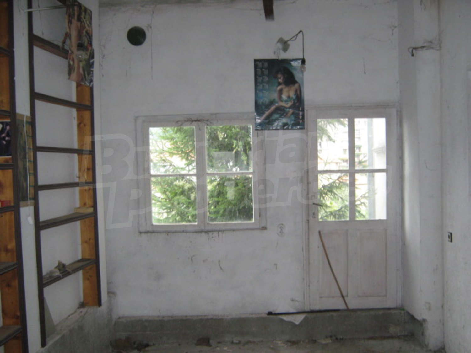 Gallery Picture 14