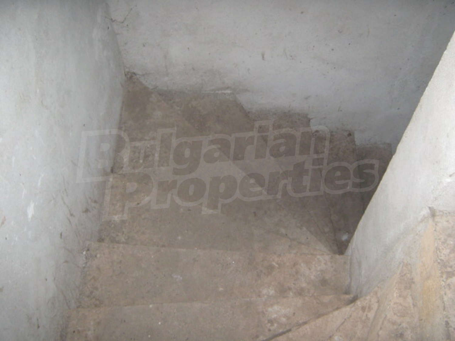 Gallery Picture 9