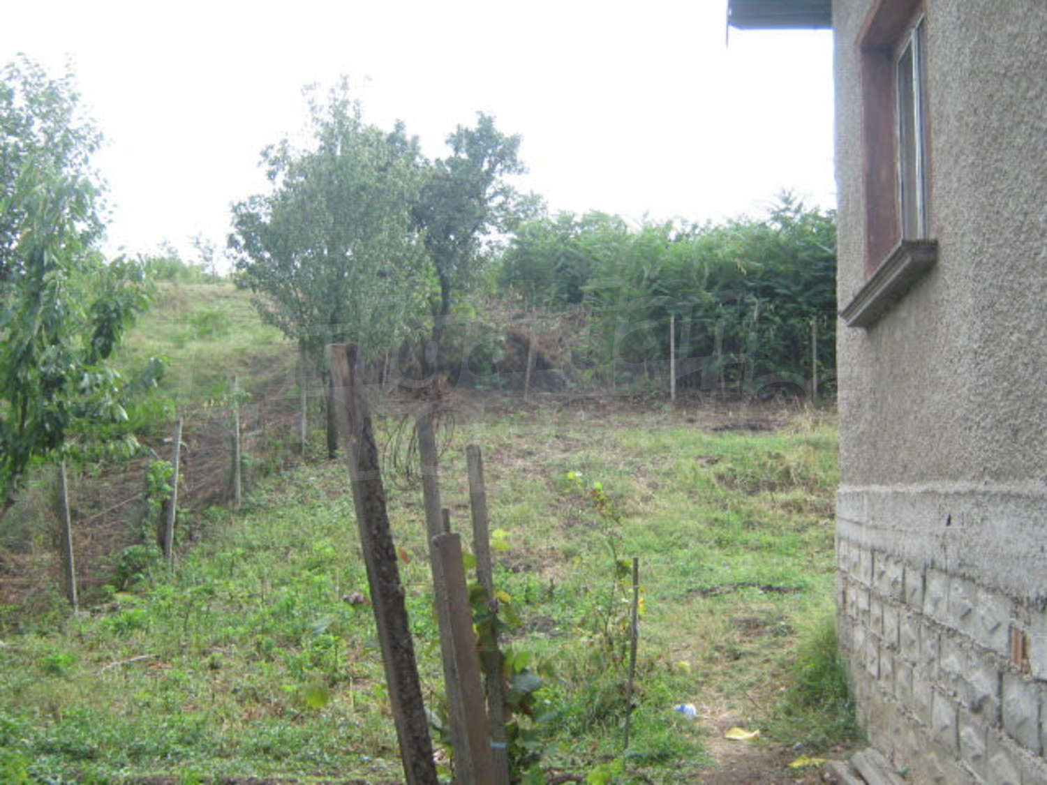 Gallery Picture 10