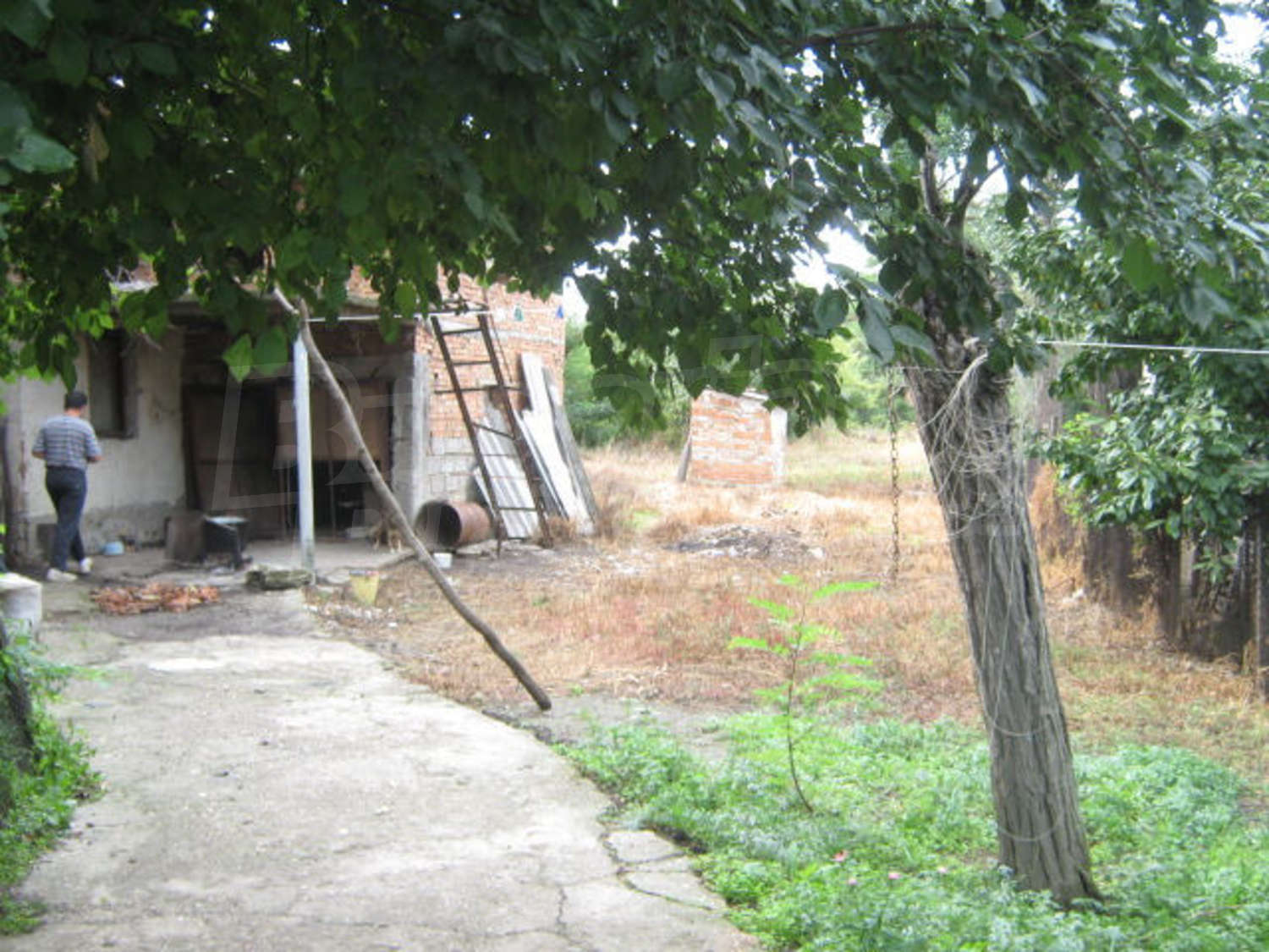 Gallery Picture 7