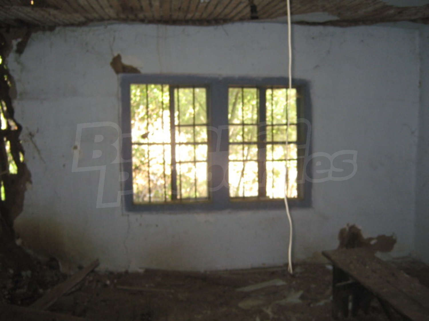 Gallery Picture 5