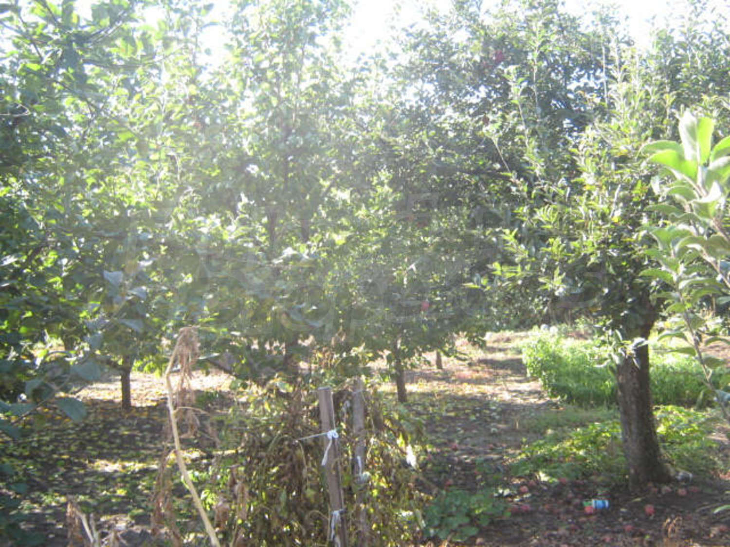 Gallery Picture 10