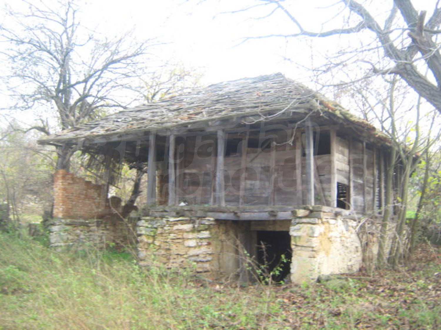 Gallery Picture 10