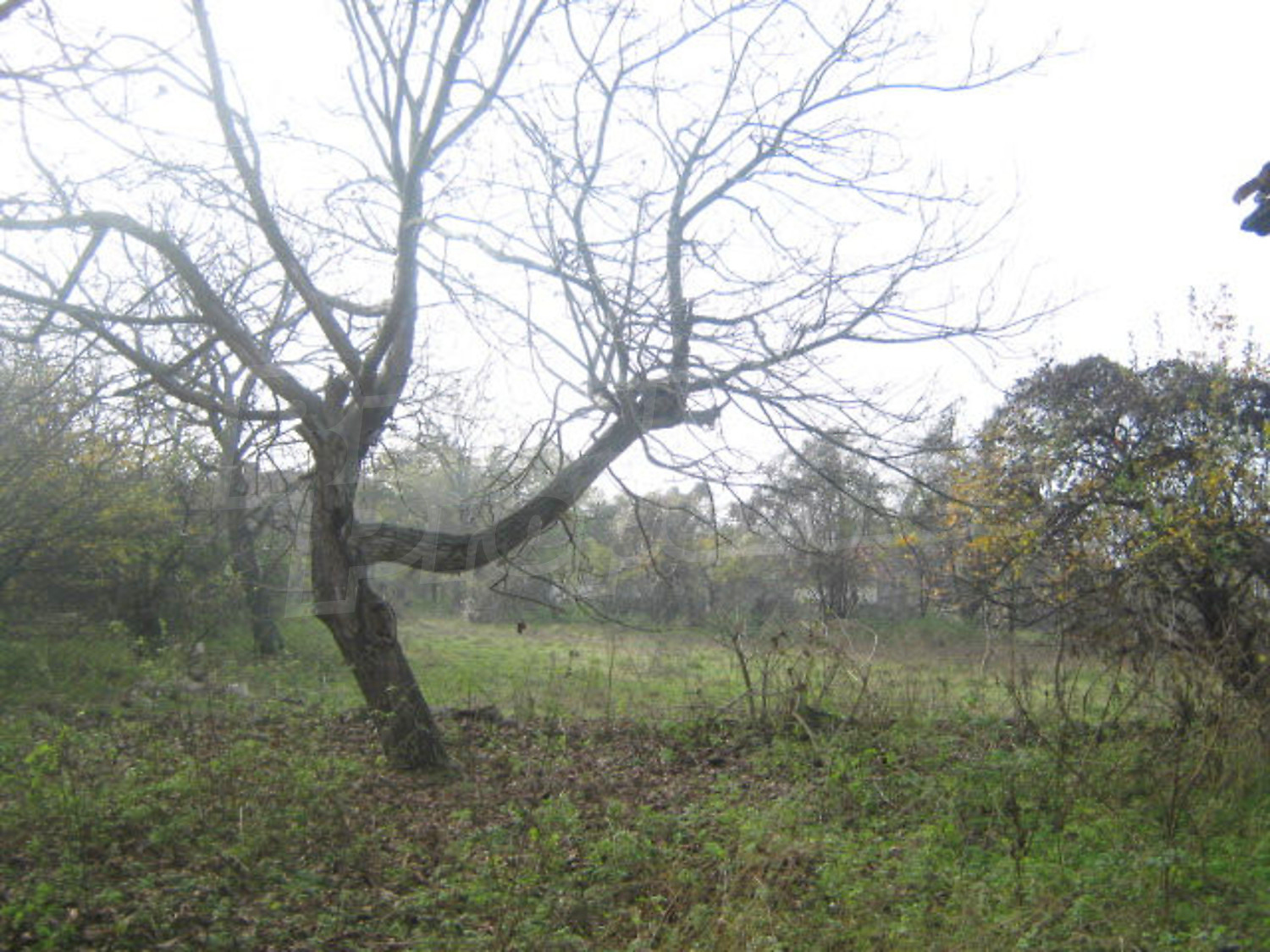 Gallery Picture 11