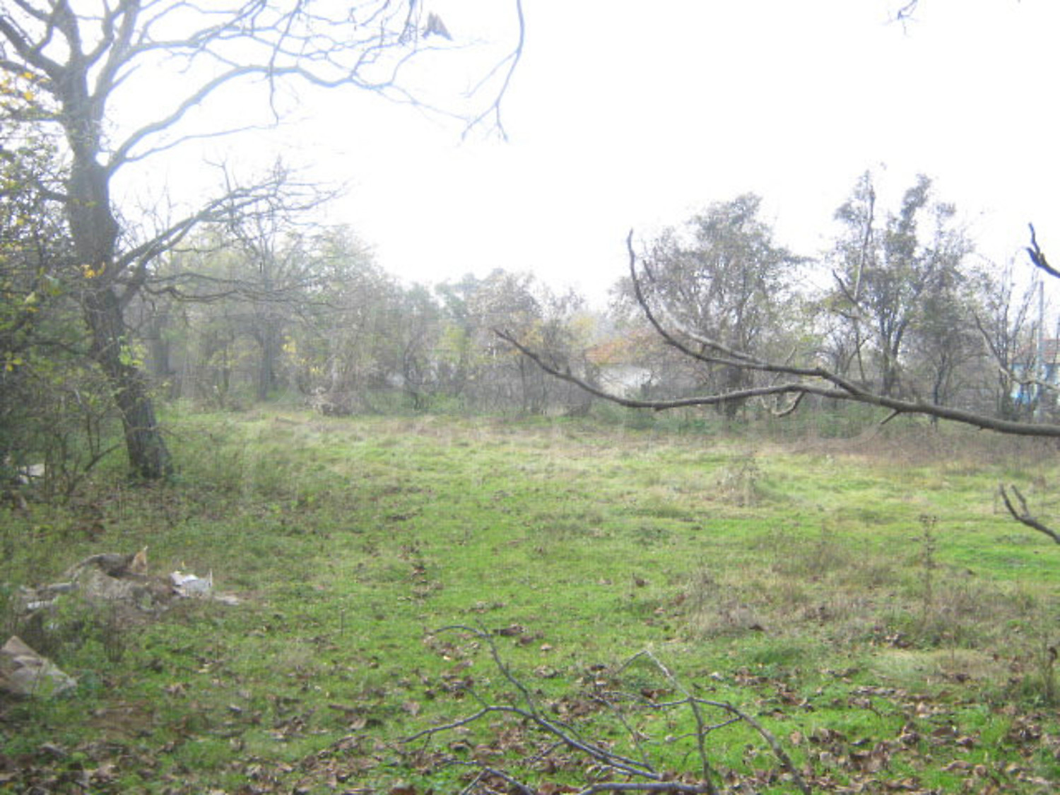 Gallery Picture 12