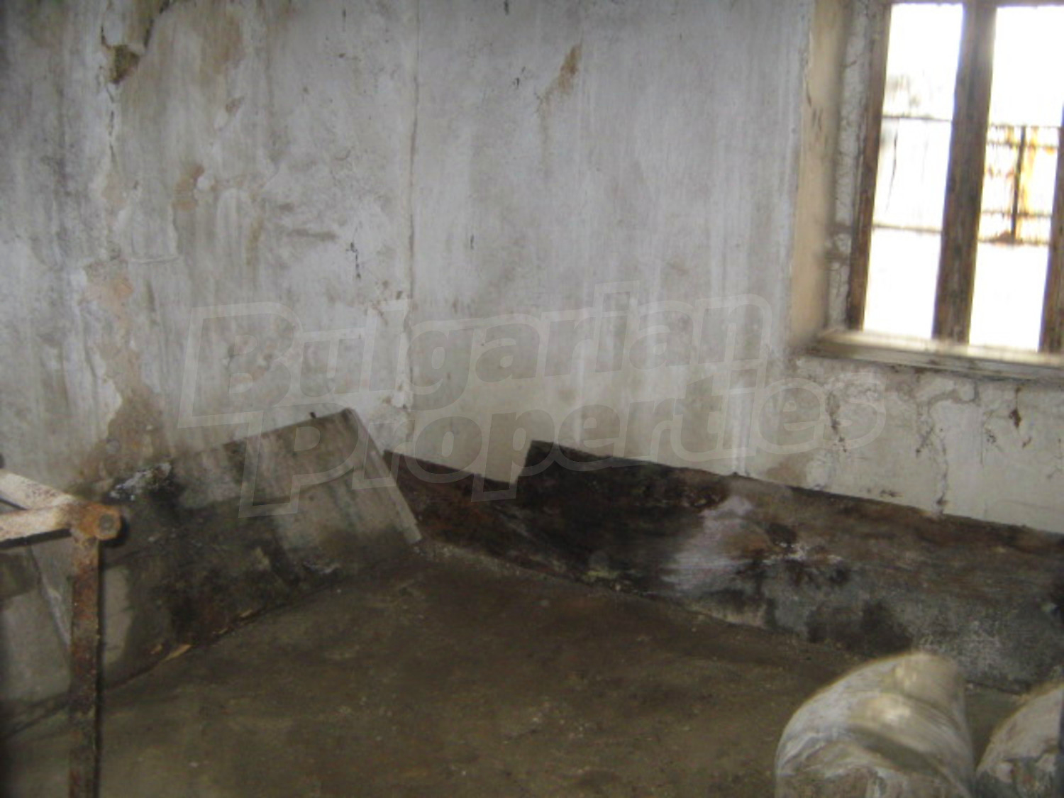 Gallery Picture 7