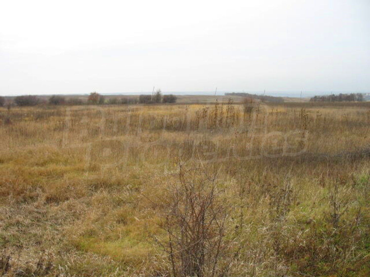 Gallery Picture 2
