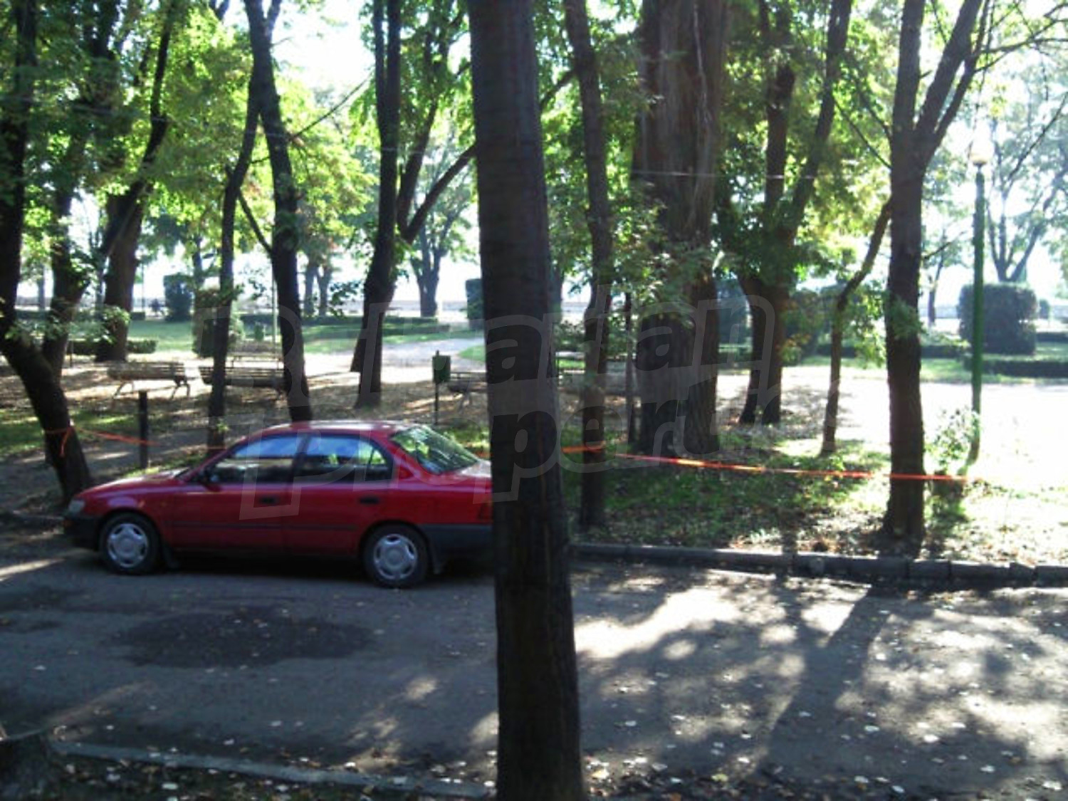 Gallery Picture 10