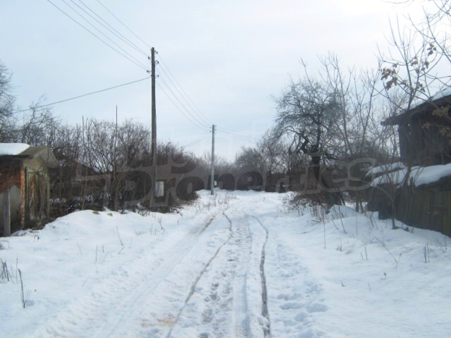 Gallery Picture 10
