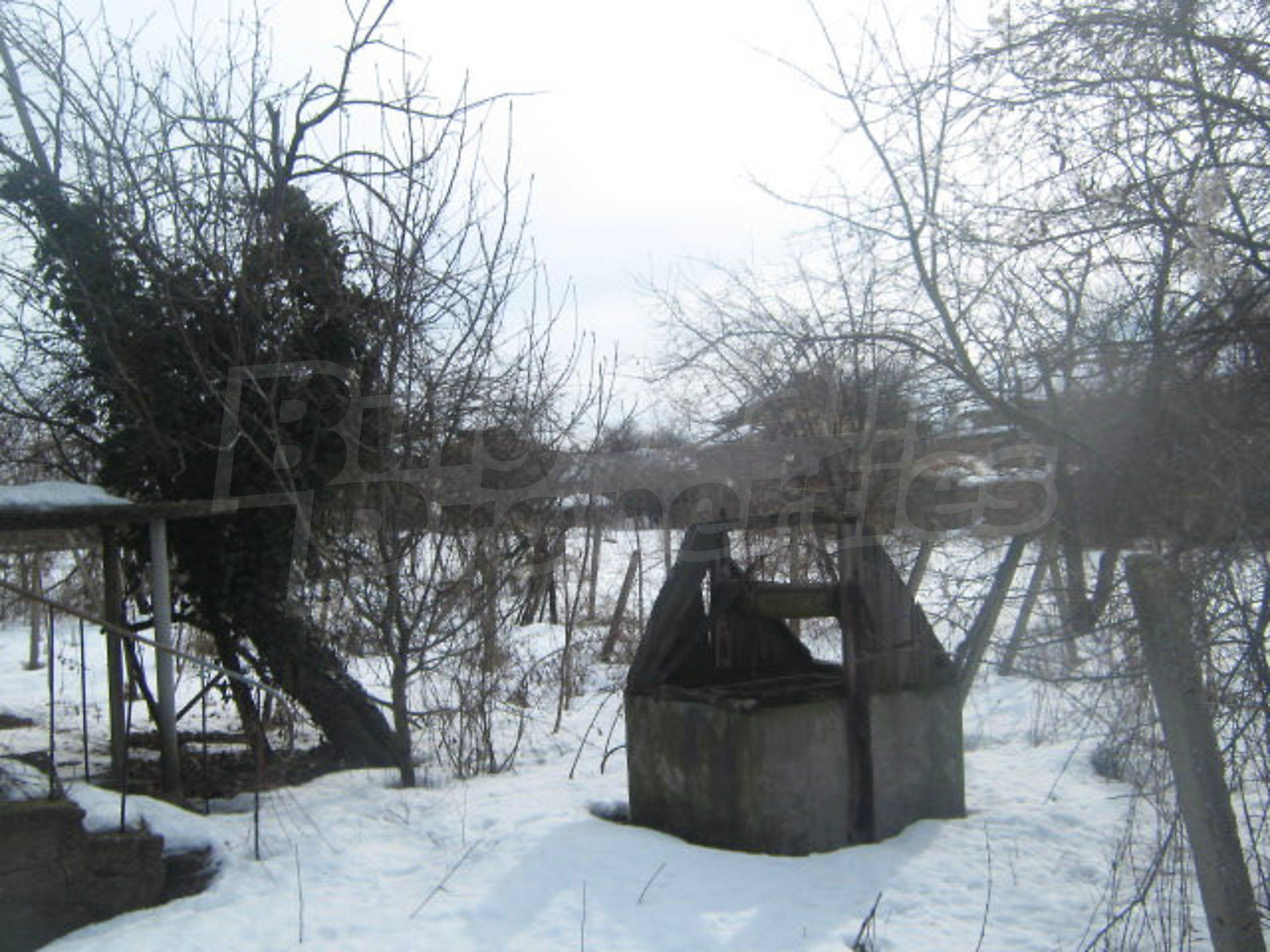 Gallery Picture 4