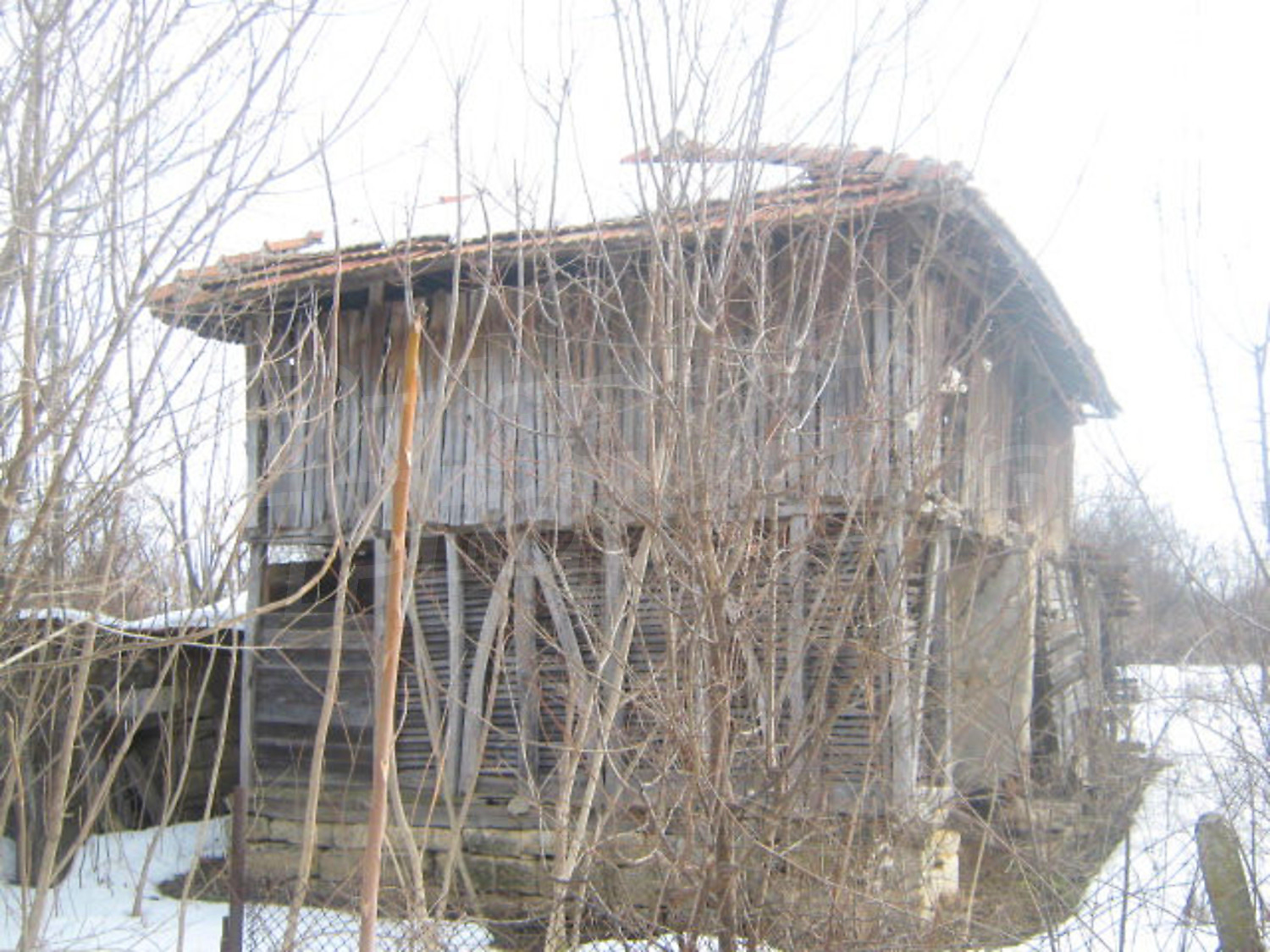 Gallery Picture 9