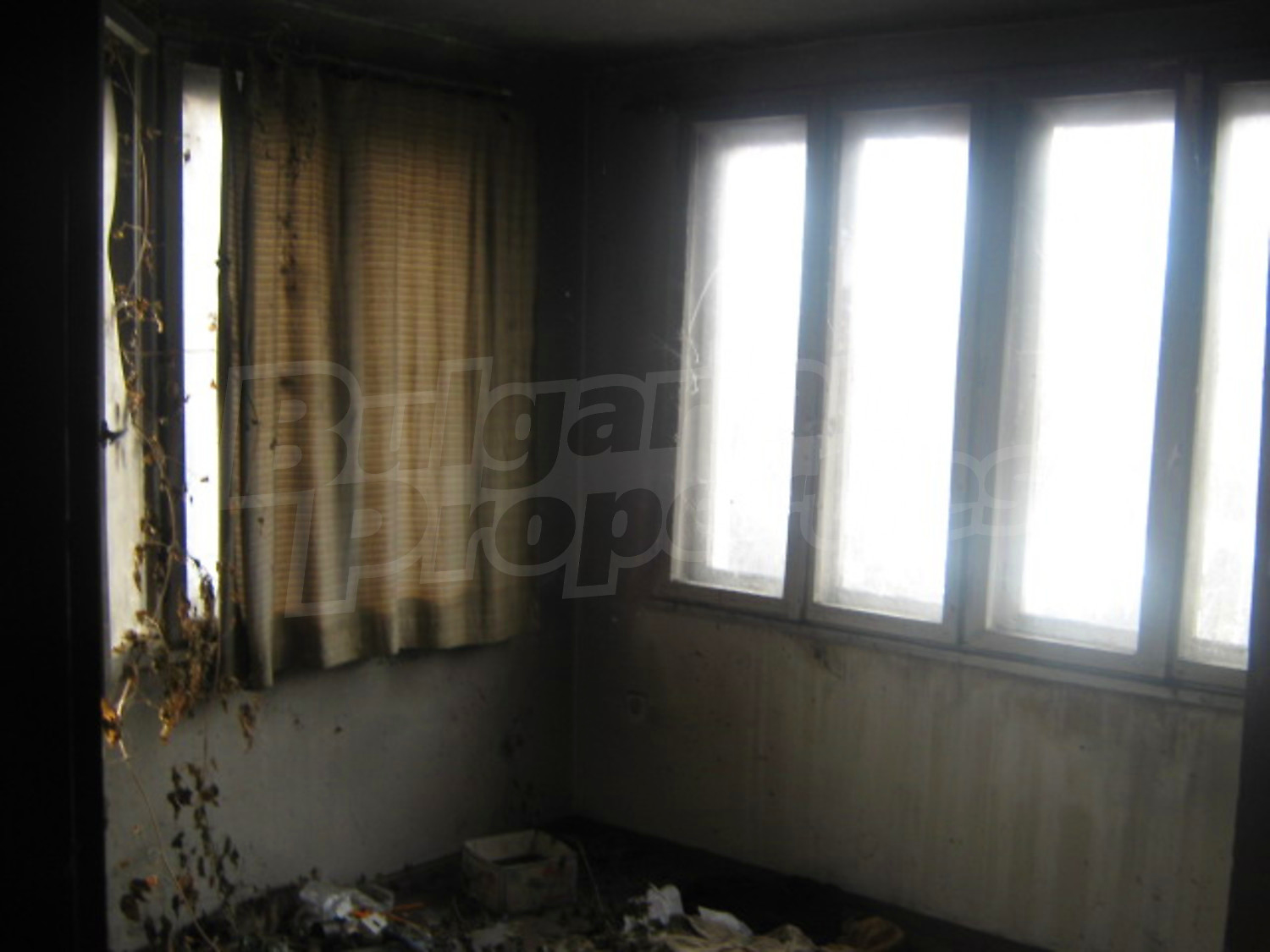 Gallery Picture 5