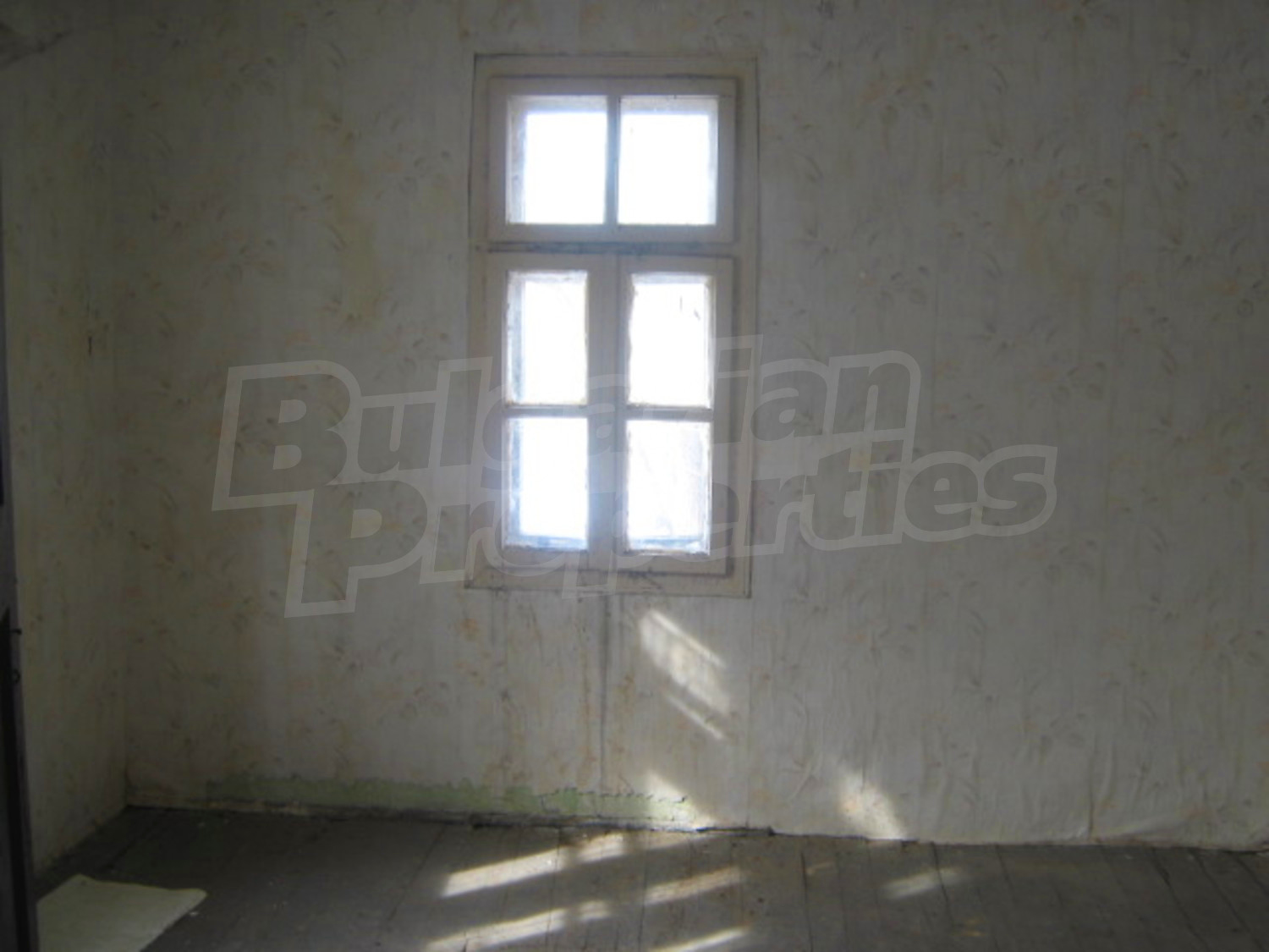 Gallery Picture 5