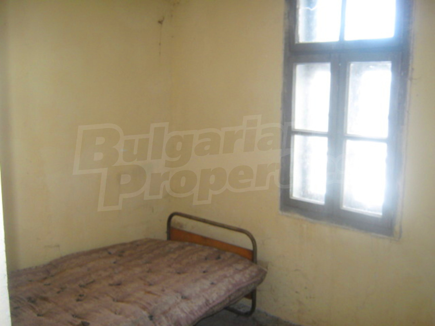 Gallery Picture 6
