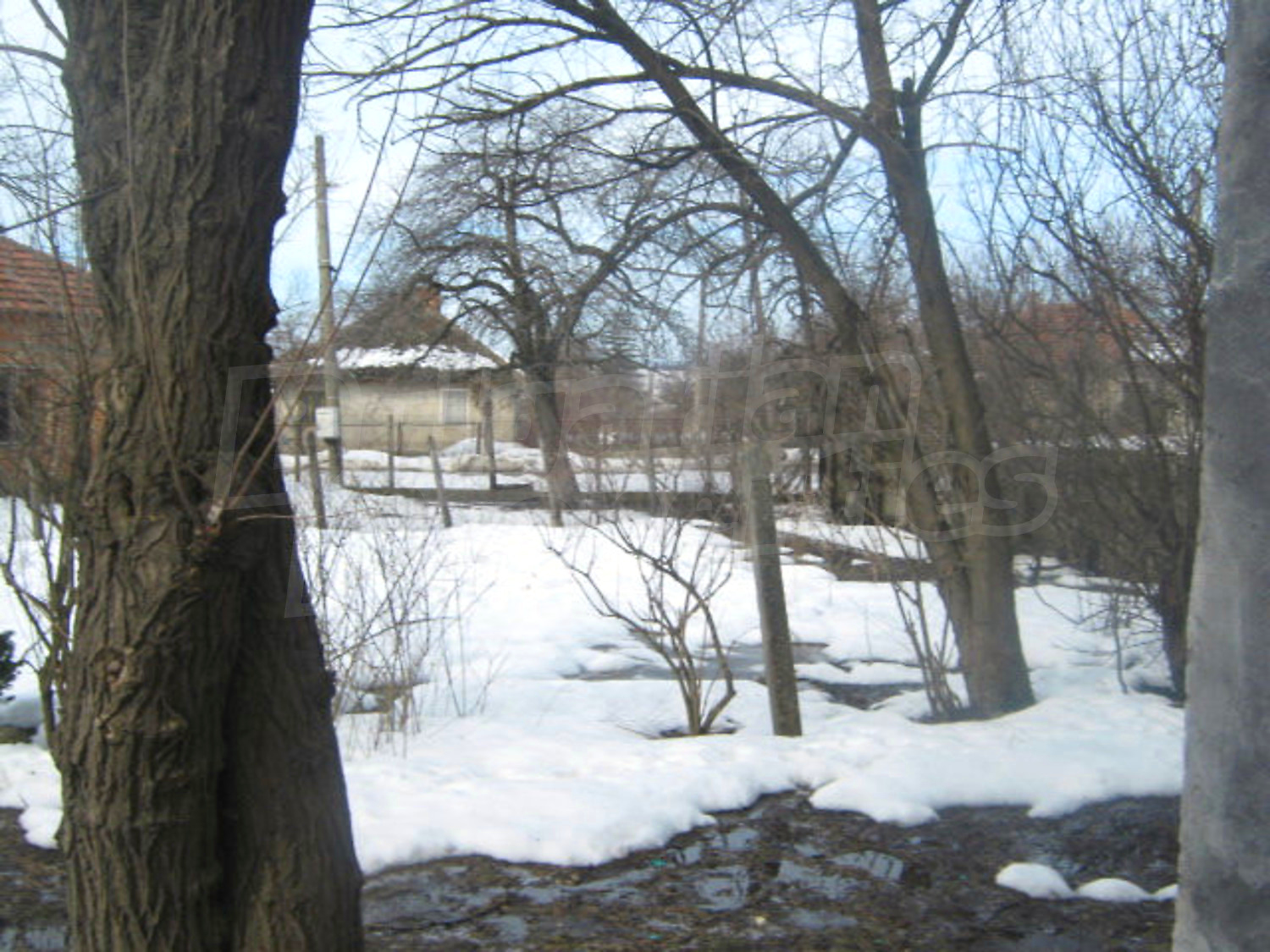 Gallery Picture 8