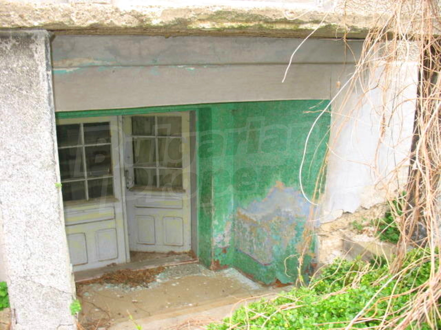 Gallery Picture 3